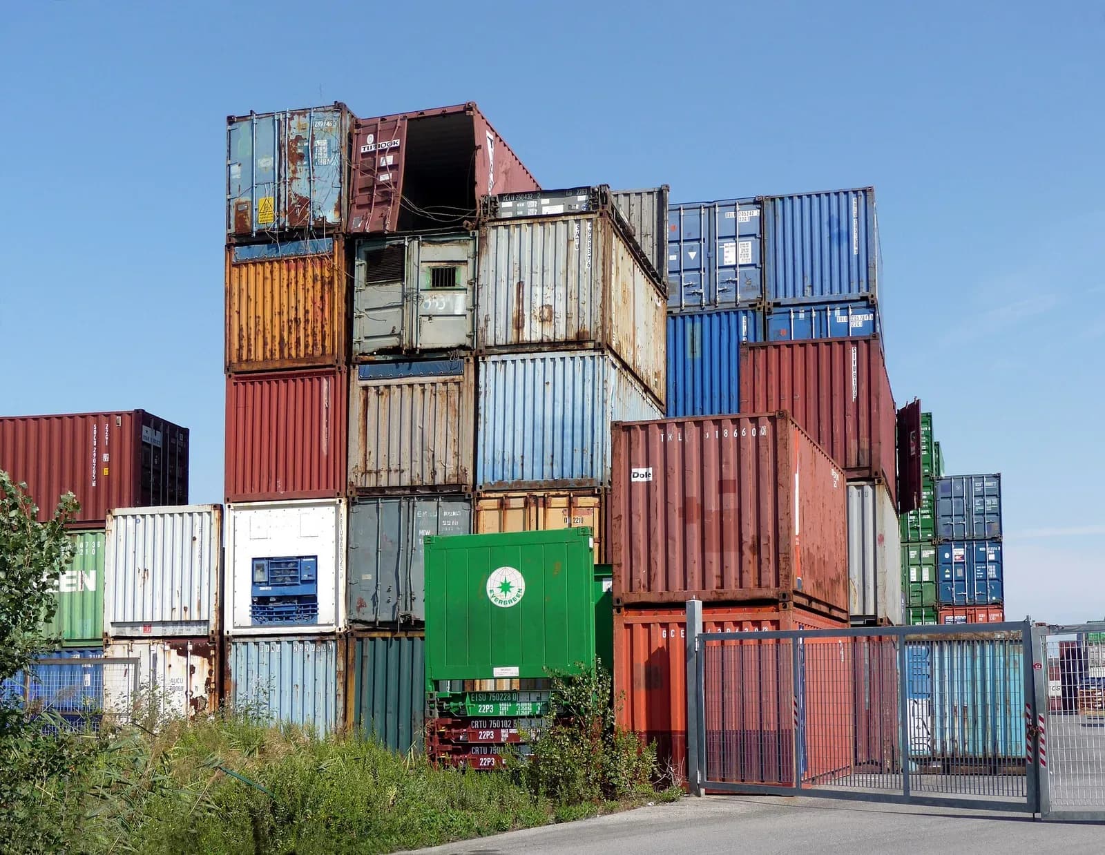 Pricing and Profit Margins in Distribution